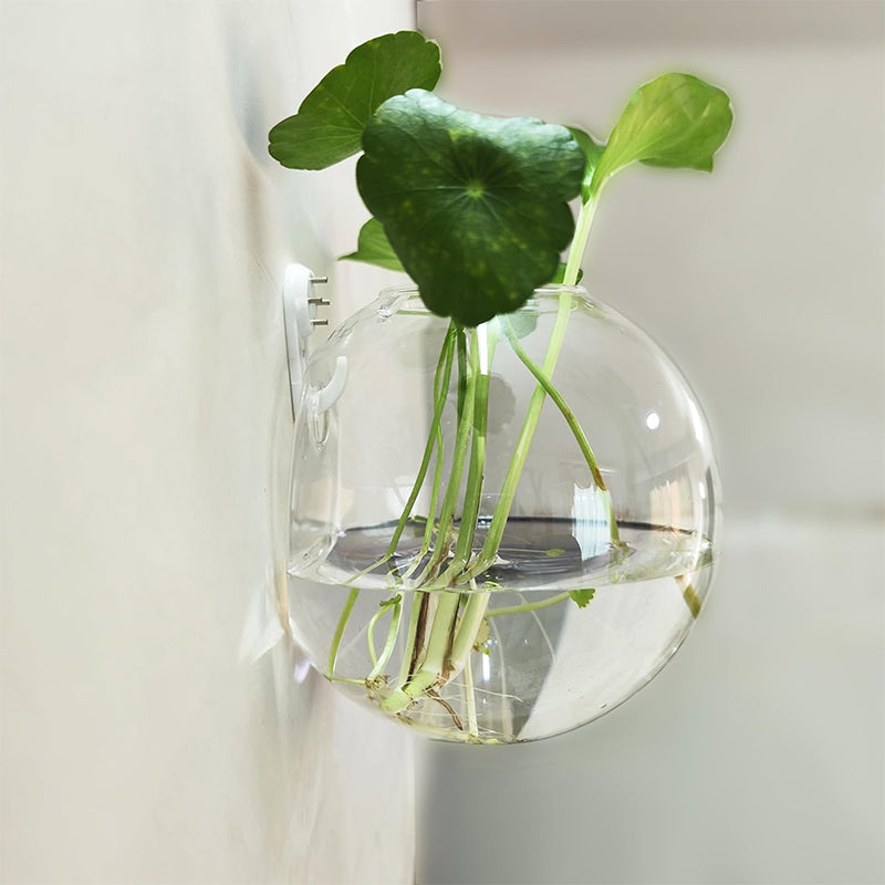 Kreativ veggmontert vase
